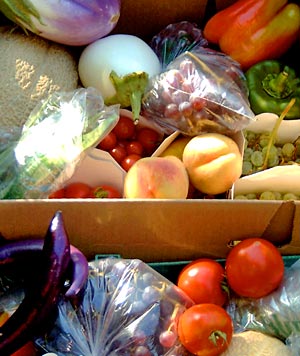 Raisin Hill Farm harvest
