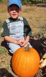 farm visitor with pumpkin